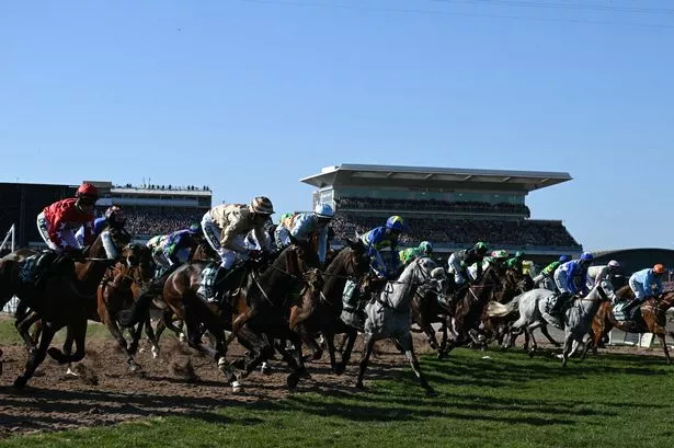 Grand National Horse Deaths: A Look Ahead To 2025 Grand National Horse Deaths: A Look Ahead To 2025